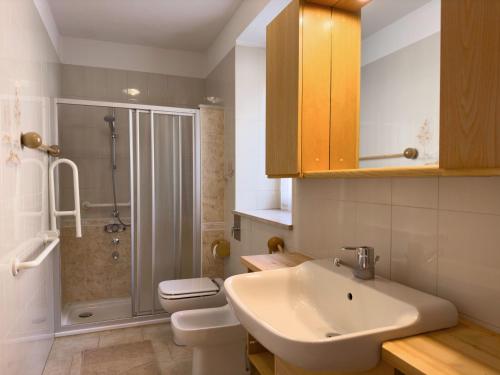 a bathroom with a sink and a toilet and a shower at Appartamenti LITEGOSA casa vacanza 1 in Panchià