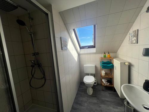 a bathroom with a shower and a toilet and a sink at Tiny Studiowohnung Bahnhofstrasse 20 in Netzschkau
