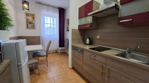 eine Küche mit Spüle und Arbeitsplatte in der Unterkunft Apartmány u náměstí Sušice in Sušice