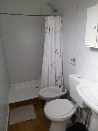 a white bathroom with a toilet and a shower at Cabañas Soledad in Potrerillos