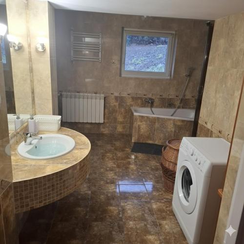 a bathroom with a sink and a washing machine at Agroturystyka u Janosika in Bozkow