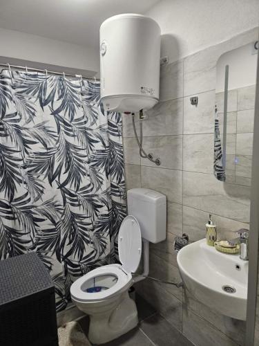 a bathroom with a toilet and a sink at Apartmani Planinsko srce Vlašić in Vlasic