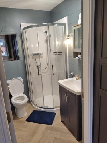 ein Badezimmer mit Dusche, Toilette und Waschbecken in der Unterkunft Brady Accommodation in Monaghan