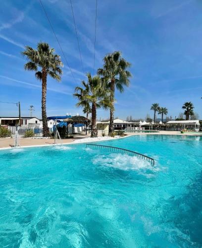 Mobile home Myosotis camping siblu