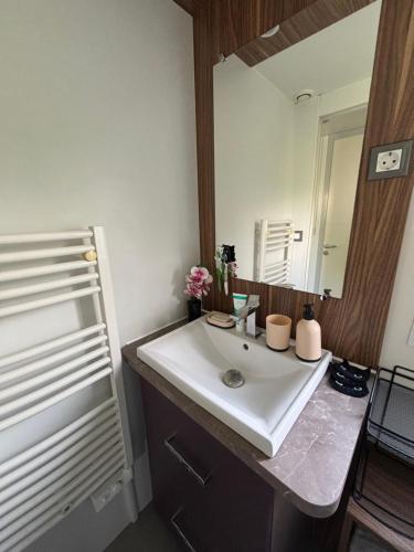 un bagno con lavandino e specchio di Mobile home Myosotis camping siblu a Fréjus