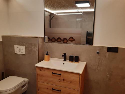 a bathroom with a sink and a mirror and a toilet at Ferienwohnung Schwalbennest in Hopfgarten im Brixental