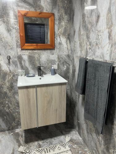 a bathroom with a sink and a mirror at Oryx guest house in Oakdale