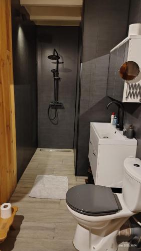 un bagno con doccia, wc e lavandino di B&B Halen a Halen