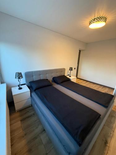 a bedroom with a large blue bed in a room at Jumara Apartment in Valmiera