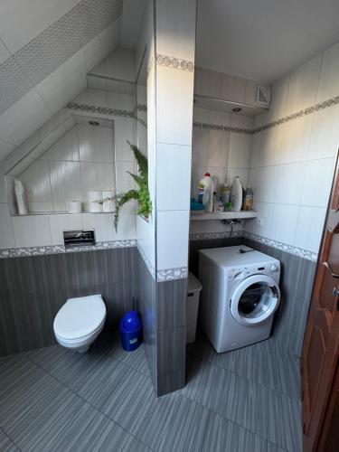 a bathroom with a toilet and a washing machine at Spokój u Zosi in Stare Bystre
