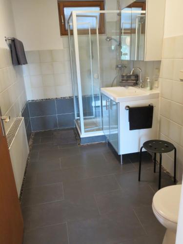 a bathroom with a shower and a sink and a toilet at Ferienwohnung Billich in Bad Bellingen