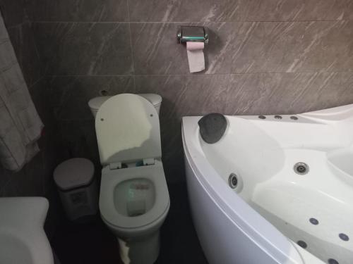 O baie la Rospa Home