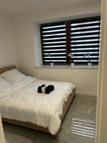 En eller flere senge i et værelse på Apartament Ostrowiec Świętokrzyski