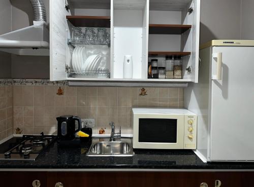 una cucina con lavello e microonde di ZWIN Apartment 2 a Skole