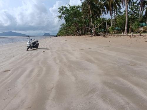 Natuurlandschap vlak bij de vakantieboerderij