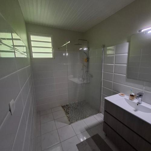 a bathroom with a shower and a sink at VILLA Ti-COULANGE, Verdoyante in Rivière-Pilote