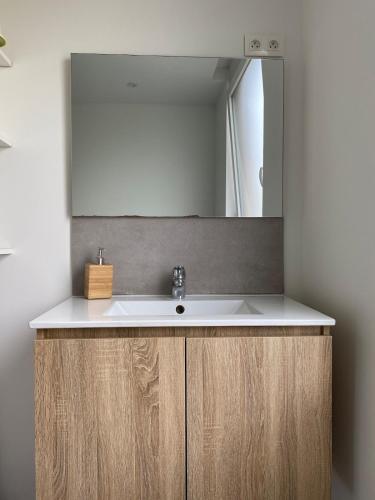 a bathroom with a sink and a mirror at Chez Aurel et Nico in Frélinghien