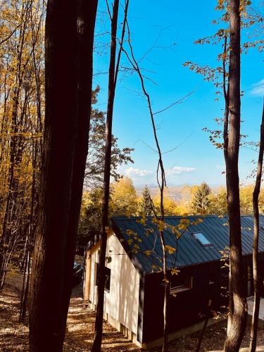 eine Hütte im Wald mit Bäumen in der Unterkunft Forester Cabin in Telega