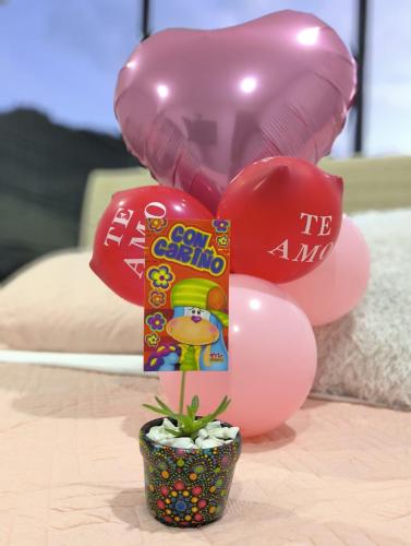 Gallery image of Suite Campestre Sauna Jacuzzi in Palo Verde