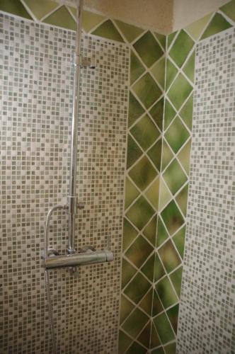 a shower in a bathroom with a tiled wall at Pontet-Fronzèle agrotourisme ecologique, maison d'hôtes & Spa in Lagorce
