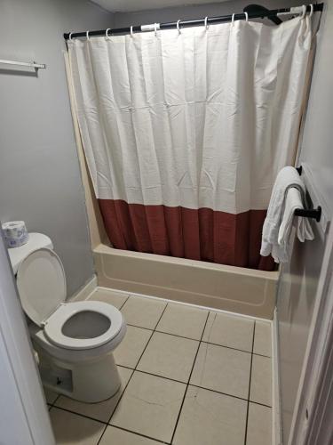 a bathroom with a toilet and a shower curtain at ScottishINN Galloway in Galloway