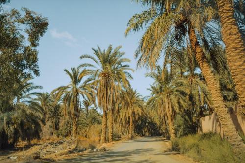 Billede fra billedgalleriet på Shasha Siwa Retreat & Thermal Spring i Siwa