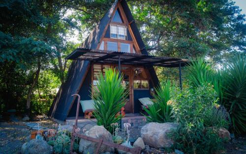 a tiny house in the woods with plants at Lodge Rincon Nativo in Hijuelas