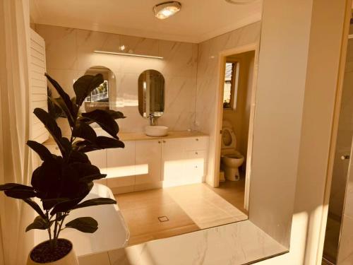 a bathroom with a potted plant and a mirror at Carindale family home, private pool, leisure accommodation in Brisbane
