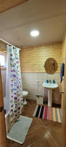 a bathroom with a toilet and a sink at Cabañas Donde Gaspar in Dalcahue