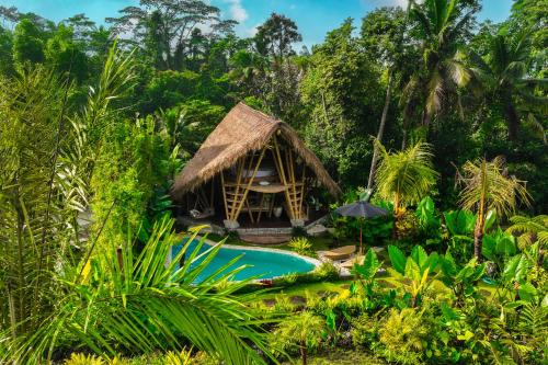 Zahrada ubytování Lazy Coconut Bali