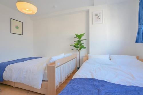 a bedroom with two beds and a potted plant at ゲストハウス夢宿 in Osaka