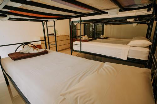 2 stapelbedden bevinden zich in een kamer met 3-3-3-3-3-3-3-3-3-3-3-3-3-3-3-3-3-3-3-3-3-3-3-3-3-3-3-3-3-3-3-3-3-3-3-3-4 bij Red island villas in Banyuwangi