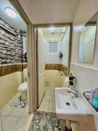a bathroom with a sink and a toilet at Palazzo serenity in Ongata Rongai 