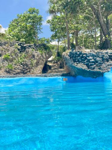 Príroda v okolí of the bed and breakfast