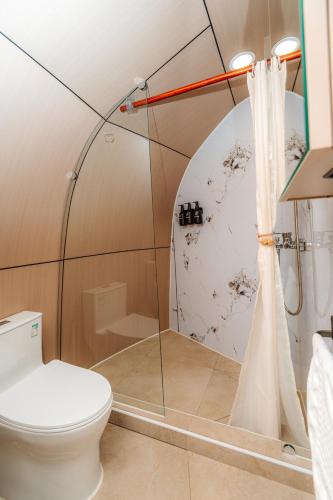 a bathroom with a toilet and a shower at Blue Spot Resort in Yoliin Hural