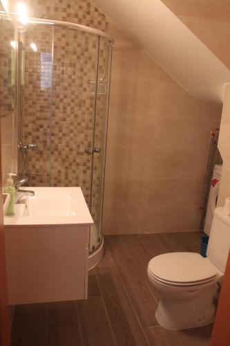 a bathroom with a toilet and a sink and a shower at Isaura Home in Peniche