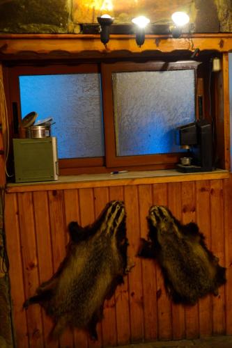 two large bear heads on the wall of a room at Topuzovi Guest House in Dobrinishte