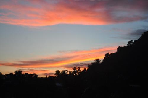a sunset with palm trees in the foreground at Saikia Nest the Home-stay in Guwahati