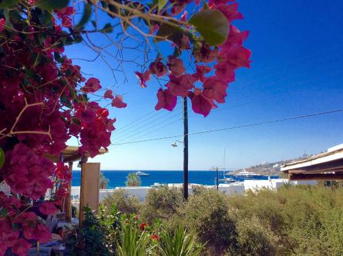 Gallery image of Manos Studios in Platis Yialos Mykonos