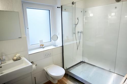 a bathroom with a shower and a toilet and a sink at Basalt-Loft in Kottenheim