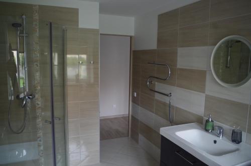 een badkamer met douche, wastafel en spiegel bij Jaukus butas Klaipėdos centre in Klaipėda