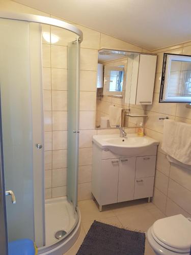 a bathroom with a shower and a sink and a toilet at Apartments Ivancevic in Korčula