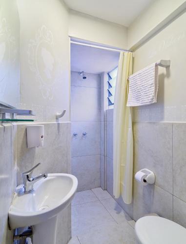 un bagno con lavandino e doccia di La Vida es Bella a Samaipata