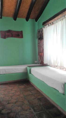 a green room with a bed and a window at Establecimiento Rural El Chañar in San Rafael