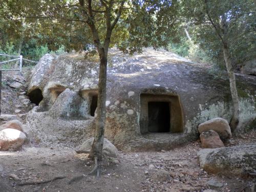 a stone building with a tree in front of it at Appartamento MareMontagna in Cardedu