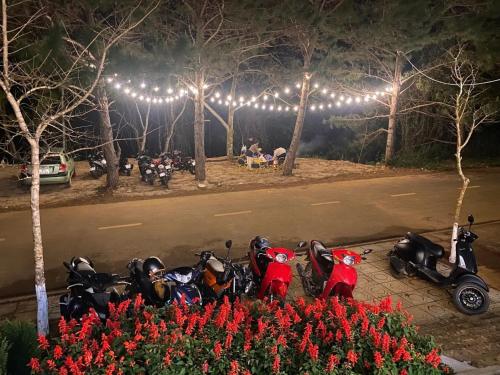 Een tuin van Han San Homestay Măng Đen