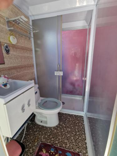 a small bathroom with a toilet and a shower at Groups & Families Glamping Dome Beach Resort Dauin in Dauin