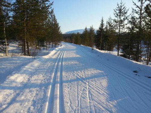 Pyhän Kortepuolukka semasa musim sejuk