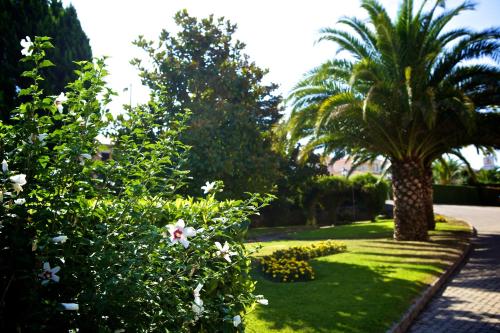 a garden with palm trees and white flowers at Hotel SJ in Tondela