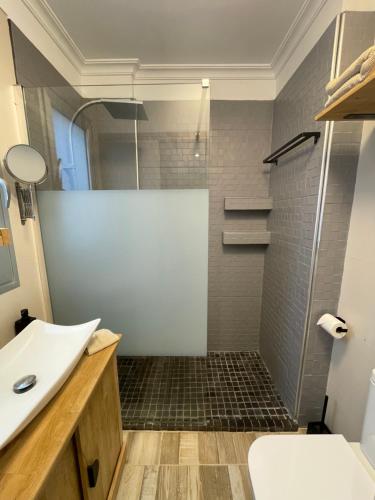 a bathroom with a shower and a toilet and a sink at casa kayla in Palm-Mar